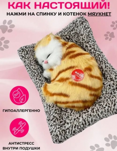 Игрушка Котенок на коврике 12х14х5см рыжий (1+)