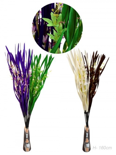 Сухоцветы 5шт 150см 22-13 фото 1